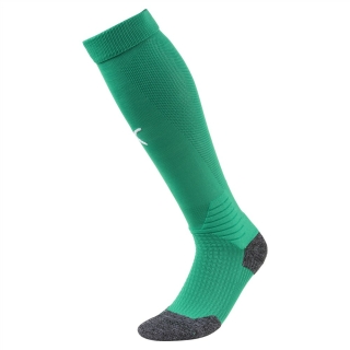 Socks LIGA green/white