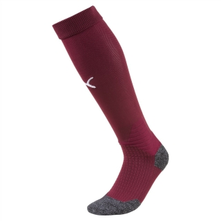 Team LIGA Socks Cordovan-Puma White