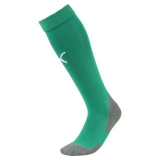 Socks LIGA Core green/white