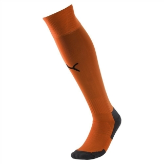 Team LIGA Socks CORE GOLDEN POPPY-Puma Black