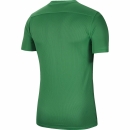 Youth-Jersey PARK VIII pine green