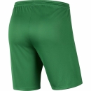 Youth-PARK III Short pine green