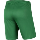 Youth-PARK III Short pine green