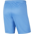 Kinder-PARK III Short hellblau