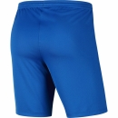 Youth-PARK III Short royal blue