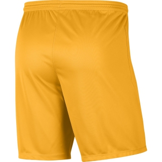university gold nike shorts